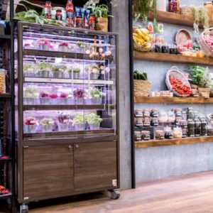 Micro-ortaggi per supermercati e ristoranti nelle vetrine di Cefla