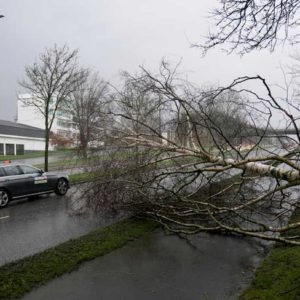 Tempesta Ciara arriva in Italia: raffiche di vento a 100 Km/h in Sardegna e regioni del Centro