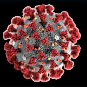 Coronavirus, i sintomi più comuni: febbre e congiuntivite in un primo momento. Solo dopo tosse e raffreddore