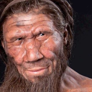 I Neanderthal onoravano i cari defunti e ornavano le tombe con i fiori