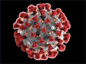 Coronavirus. Studio australiano apocalittico sul virus Covid-19: dai 15 ai 68 milioni di morti