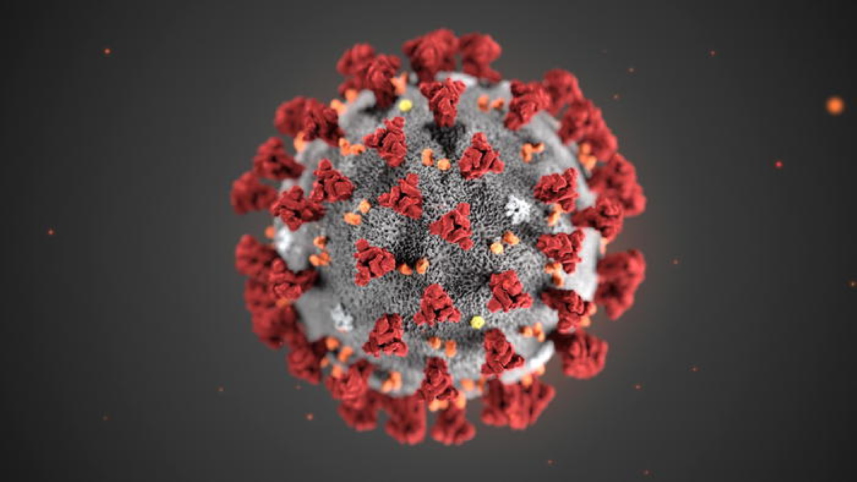 Coronavirus no creato in laboratorio: genetica prova che è naturale