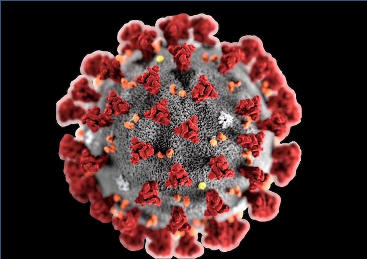 Coronavirus, studio Usa: "Può resistere anche 17 giorni sulle superfici"