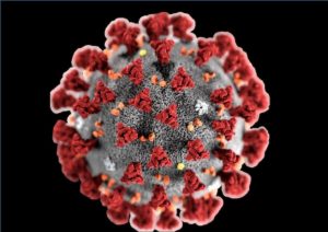 Coronavirus, studio cinese: "Chi ha gruppo sanguigno A è più esposto, chi 0 meno"