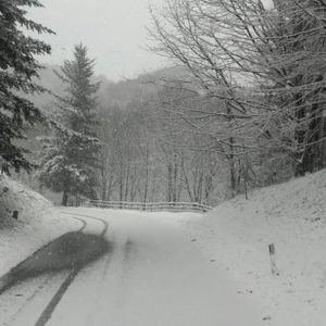 Meteo, neve in Puglia e in Centro Italia: 10 cm a Campobasso
