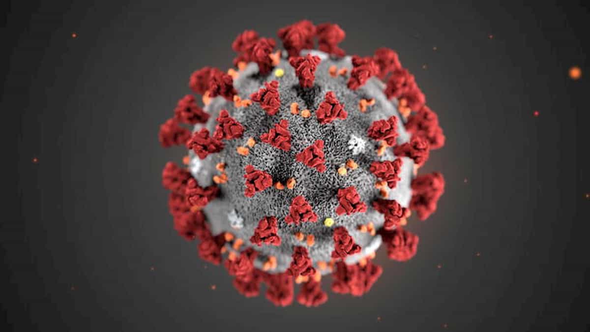Coronavirus e medicina, perché si muore? Medico di Pavia: Non polmonite, ma microtrombosi venose