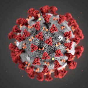 Coronavirus, scoperto il "motore" che lo fa moltiplicare: è l'enzima polimerasi nsp12