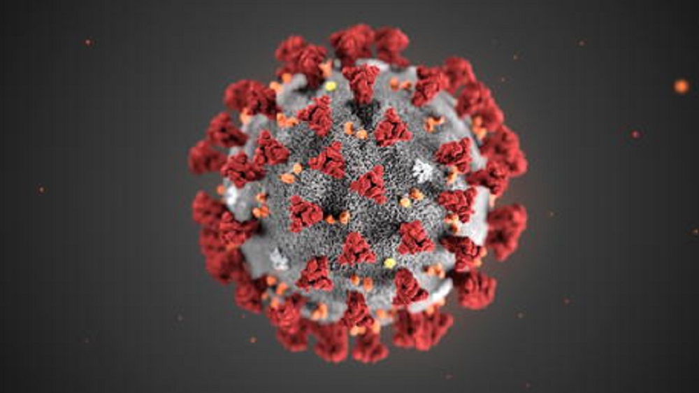 Coronavirus, Montagnier (Nobel Medicina): "Virus manipolato per un vaccino Aids"