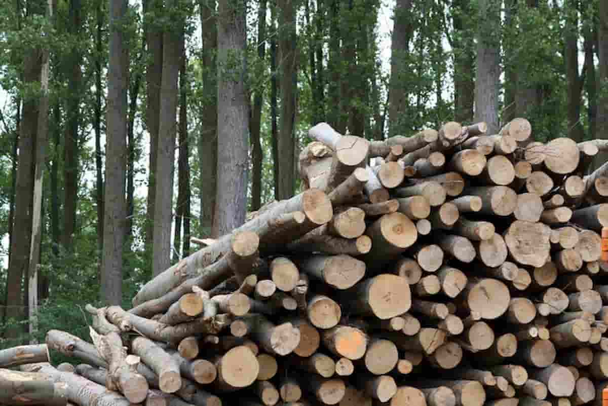 Codice Ateco dpcm 10 aprile, lista attività aperte si allunga: dai taglia boschi ai pc