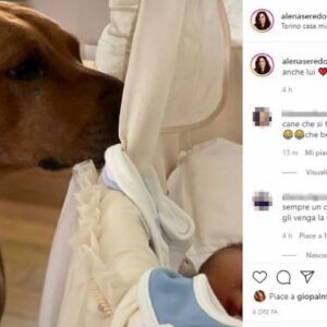 Alena Seredova criticata per la foto del cane che veglia sulla figlia in culla: "Pericoloso e non igienico"