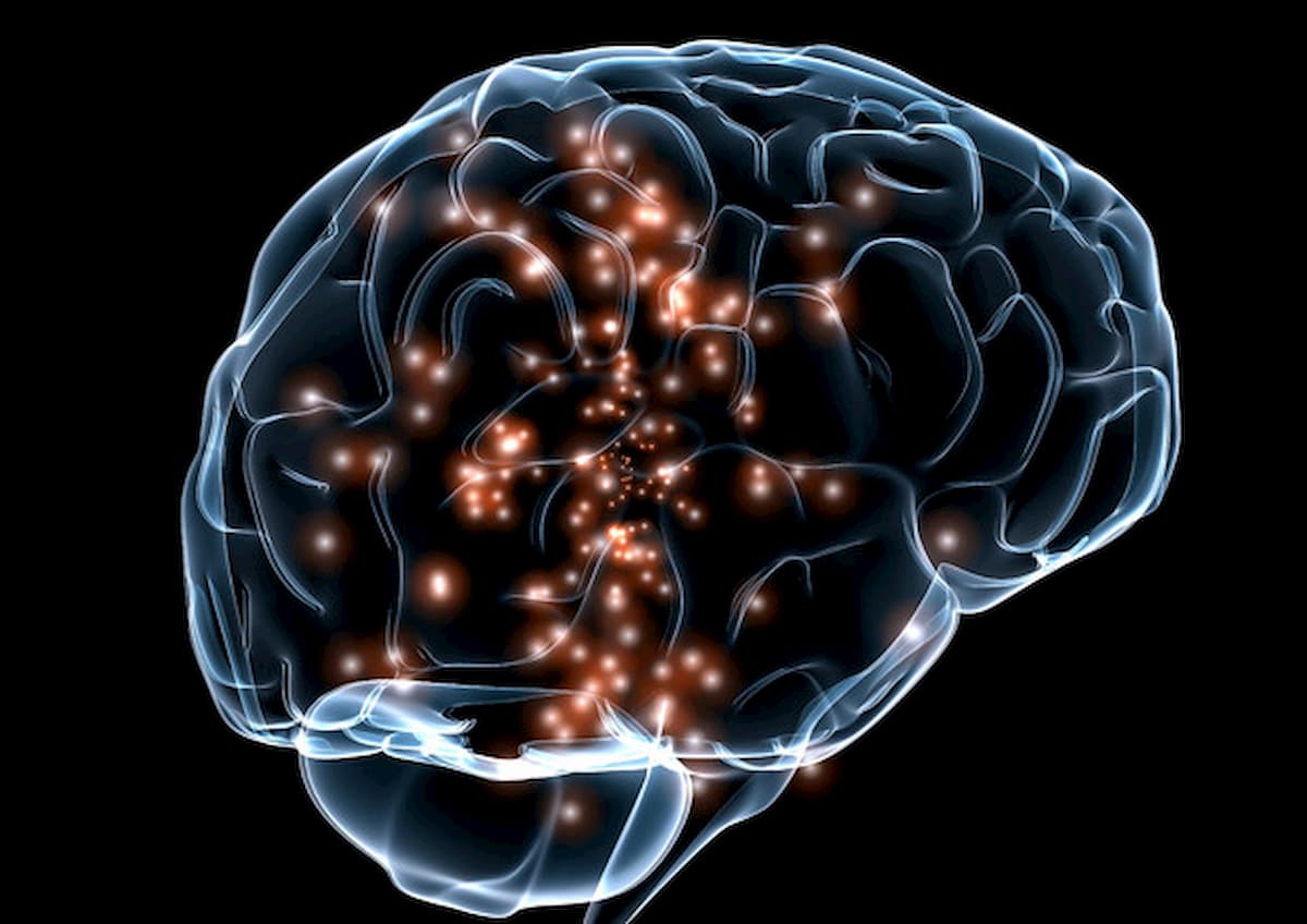 Cervello, individuata la possibile centralina di controllo: è il claustro