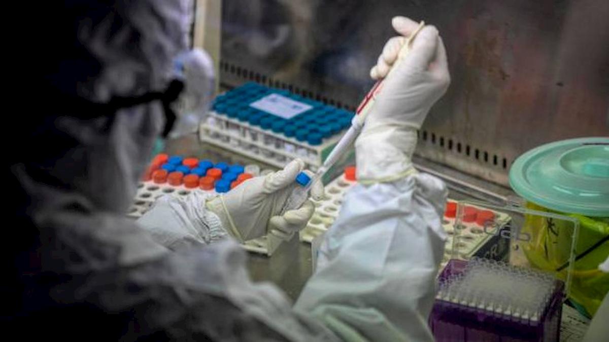 Coronavirus, l'infettivologo Cauda: "Vaccino arriverà, forse più di uno, ma non prima del 2021"