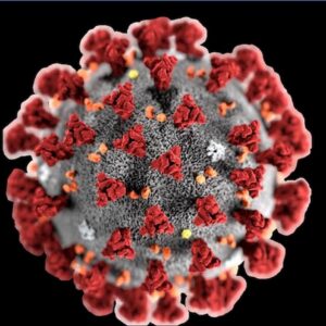Coronavirus, tracce rilevate nello sperma dei malati. Ma non è chiaro se si trasmetta con i rapporti