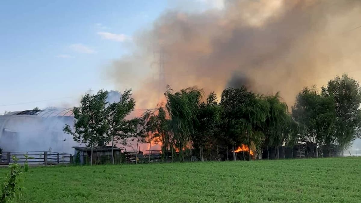 Mira, incendio in una azienda agricola: fumo visibile a km
