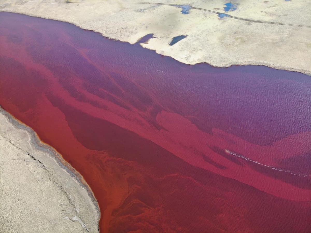 Siberia, disastro petrolifero, per Greenpeace come 30 anni fa con Exxon Valdez in Alaska