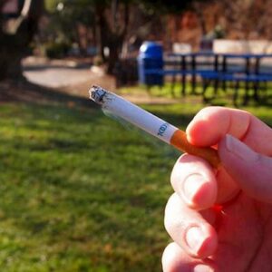Torino, vietato fumare nei parchi e nei giardini con aree giochi per bambini