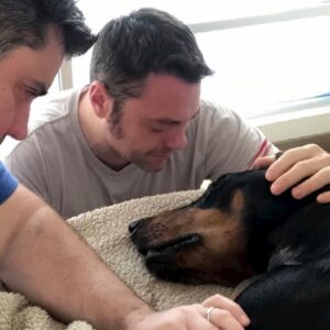 Tiziano Ferro in lutto per il cane morto: "Beau non ce l'ha fatta"