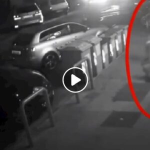 Bari, pestaggio per strada iil 22 agosto: la vittima non dice niente in ospedale e muore dopo 2 giorni VIDEO