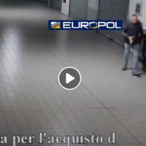Liguria. Traffico di armi e droga tra Italia e Francia: alleanza tra Ndrangheta e Marsigliesi VIDEO