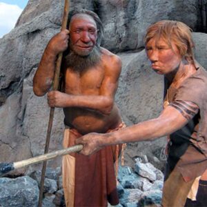 Gli uomini di Neanderthal potrebbero aver vissuto un'isola danese