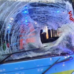 Valganna, autobus contro un cervo, parabrezza sfondato: ferito il conducente FOTO
