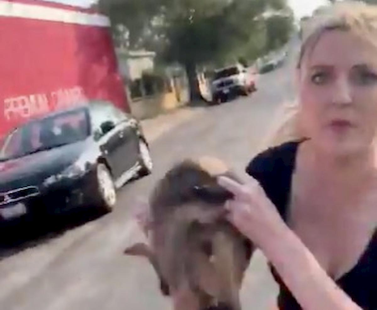 Il rapper di colore Glo Mula aggredito da una ragazza che gli tira un cucciolo ( lui lo adotta) VIDEO