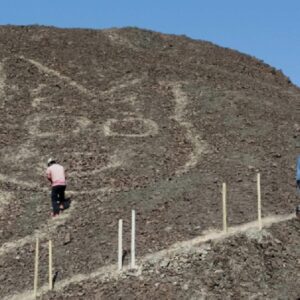Linee di Nazca in Perù, scoperto geoglifo a forma di gatto FOTO