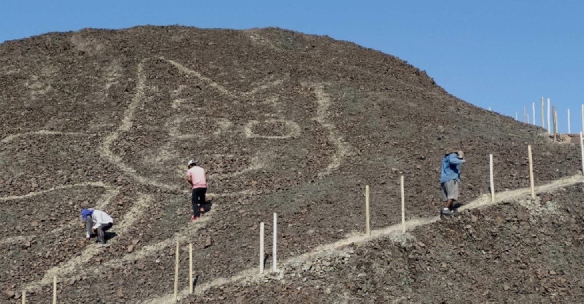 Linee di Nazca in Perù, scoperto geoglifo a forma di gatto FOTO