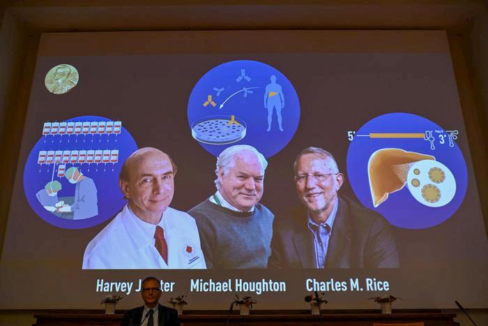 Nobel per la Medicina 2020 ad Alter, Houghton e Rice per la scoperta del virus dell'Epatite C
