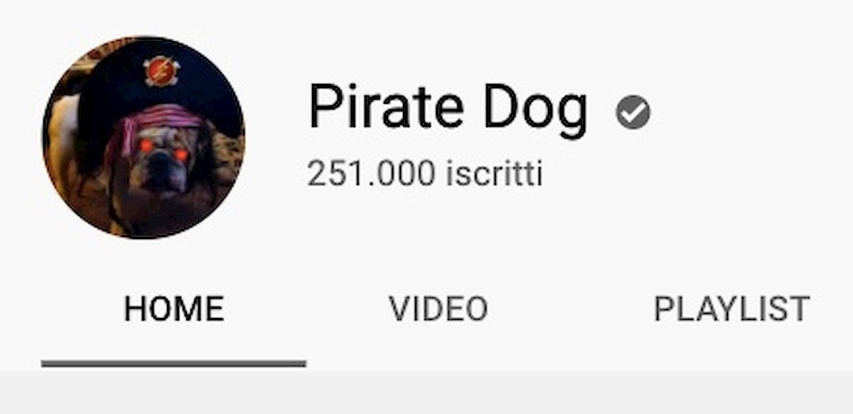 Pirate Dog, il famoso youtuber è morto a 30 anni di cancro: i medici non lo hanno visitato per mesi a causa Covid