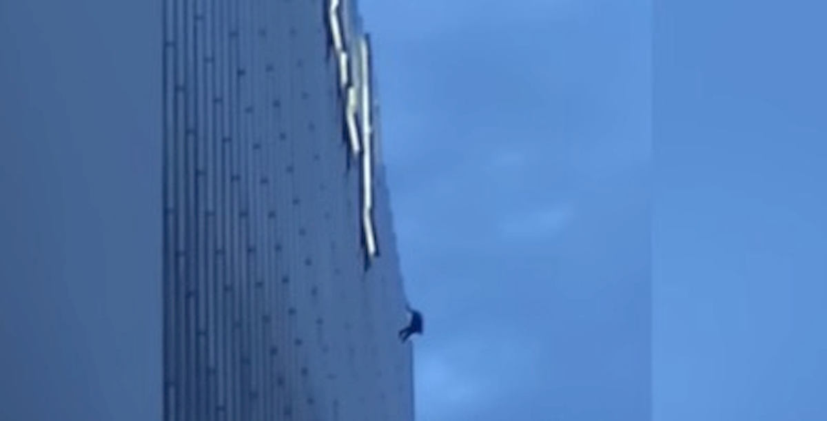 Chicago, un uomo si è arrampicato fino al 16° piano della Trump Tower: voleva parlare con presidente VIDEO