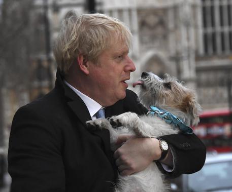 Covid non risparmia il cane di Boris Johnson (cane e padrone nella foto). Ammalato con il padrone. ora è guarito