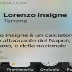 lorenzo insigne terrone