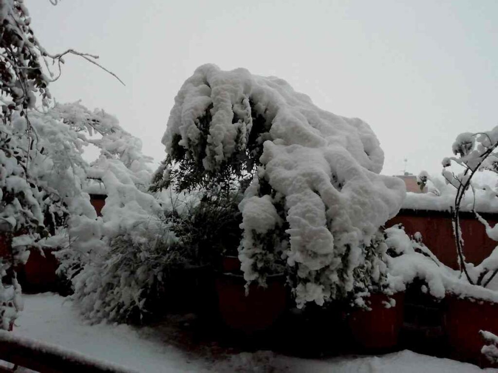 forte neve su milano 28 dicembre