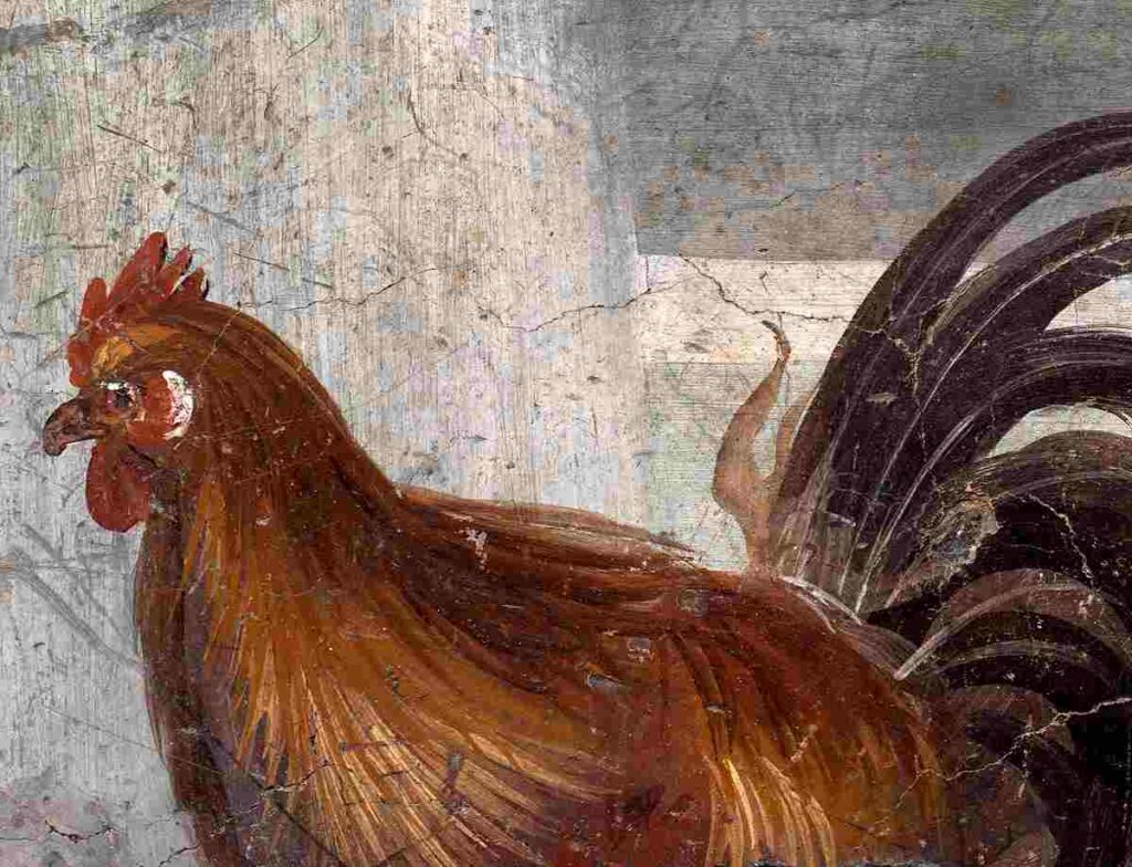 Dipinto gallina a pompei