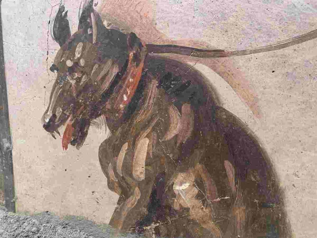cane trovato a pompei