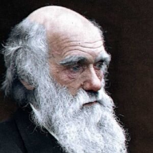 Darwin Day oggi venerdì 12 febbraio: eventi on line per il compleanno del padre dell'evoluzione