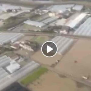 Esondazione Sarno, fiume straripa tra Angri e San Marzano: una trentina di famiglie sfollate VIDEO