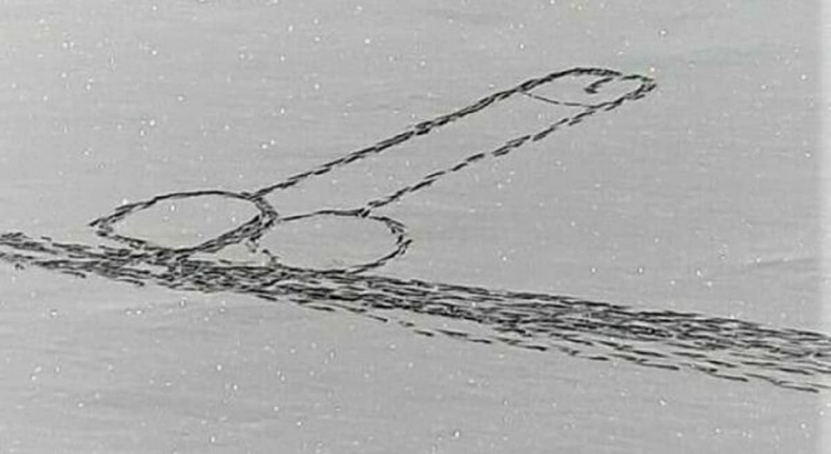 Pene gigante disegnato sul lago ghiacciato a Ceresole Reale, una bravata pericolosissima FOTO