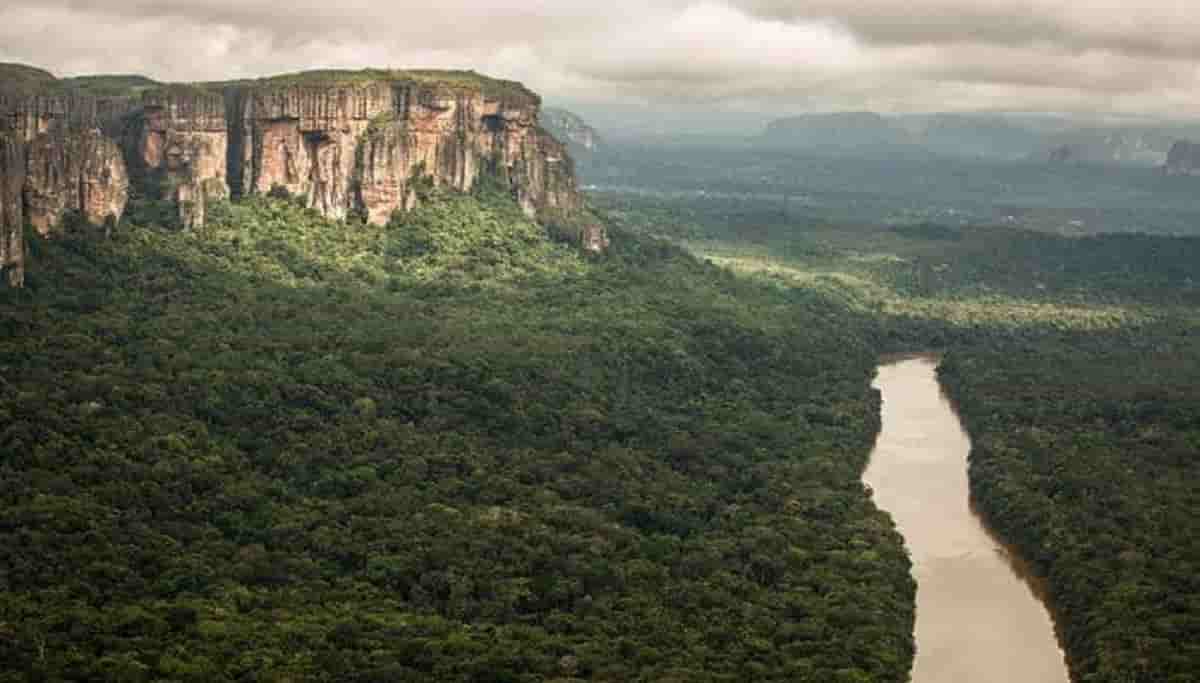 Antonio Sena sopravvissuto 36 giorni in Amazzonia dopo schianto aereo: ha imparato a mangiare dalle scimmie