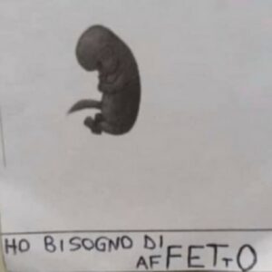Piacenza, studentessa sceglie l'aborto: a scuola le fanno trovare un biglietto con la FOTO di un feto