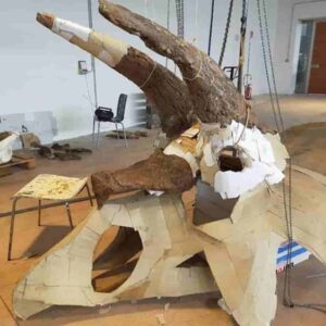 Triceratopo italiano, l'osso dice che Big John da Trieste è stato il più grande del mondo