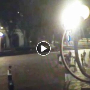 Milano, risse all'Arco della Pace, 6 arresti nella baby gang: un ragazzo colpito da un pugno finì in coma VIDEO