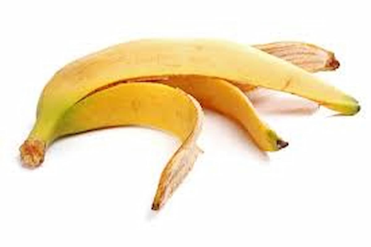 Fiori e piante, fertilizzante all'acqua di banana: devi mischiare bucce, zucchero di canna e acqua