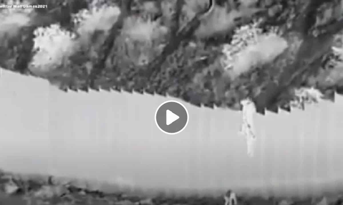 Muro tra Messico e Stati Uniti: due bambine di 3 e 5 anni gettate come sacchi al di là del muro VIDEO