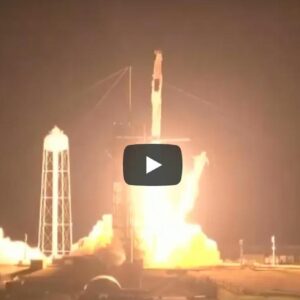 SpaceX, lancio della navetta Crew Dragon riuscito: a bordo 4 veterani e il primo europeo VIDEO