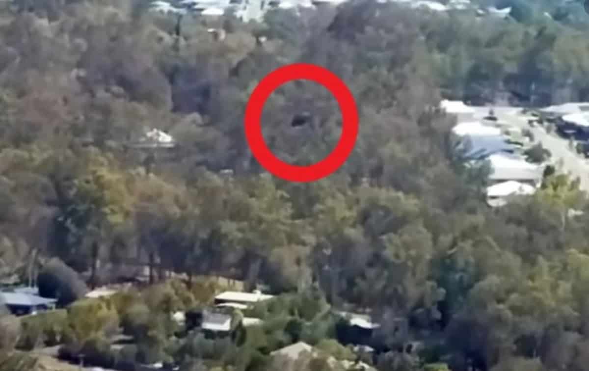 Australia Ufo Drone