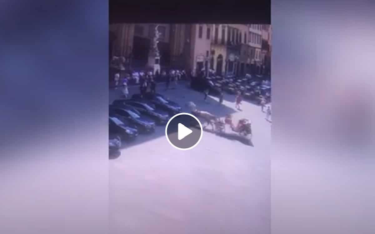Cavallo imbizzarrito urta l'auto del ministro Lamorgese VIDEO carrozza si incastra e lui entra nella Loggia dei Lanzi