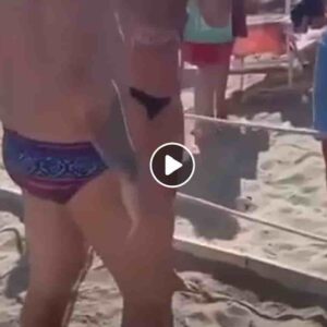 Bacoli, aggressione omofoba in spiaggia: lesbiche invitate ad andar via "perché ci sono i bambini" VIDEO