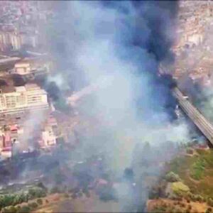 Incendi in Sicilia a Palermo e Catania (dove sono state evacuate le case e l'aeroporto ha sospeso i voli)